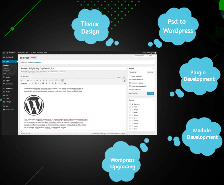 WordPress Development Services in Delhi