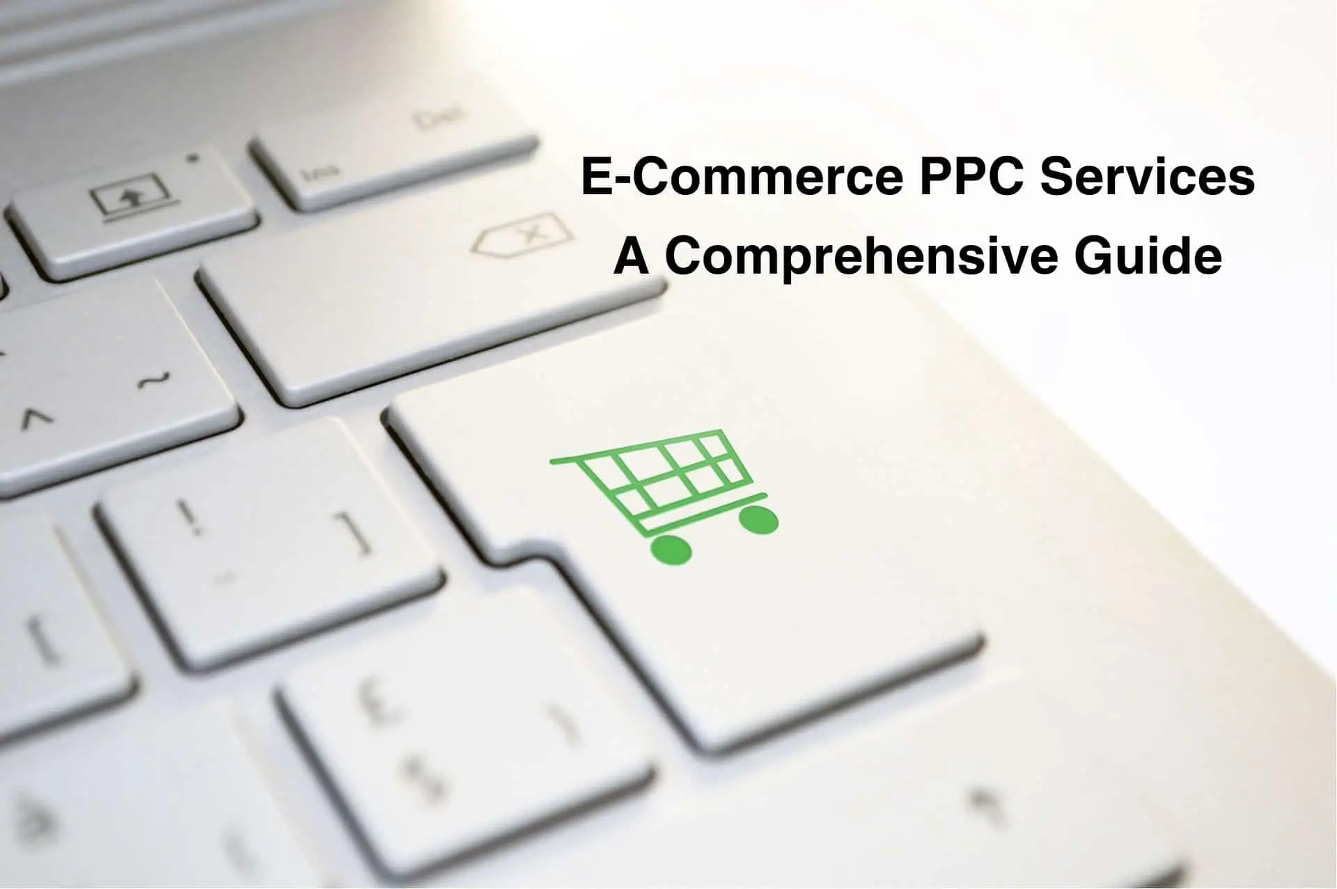 E-Commerce PPC Services