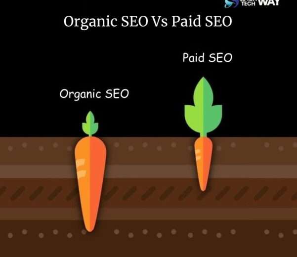 organic seo vs paid seo